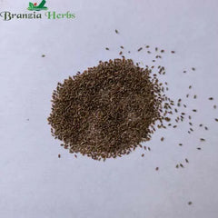 "Tarragon Herb Seeds " - Branzia Herbs