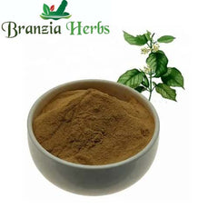Aflapin Extract Powder - Branzia Herbs