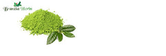 Kalmegh Dry Extract - Branzia Herbs