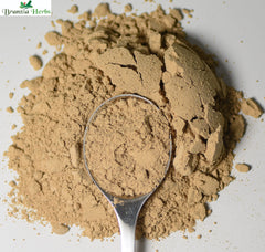 Kava Kava Root Powder