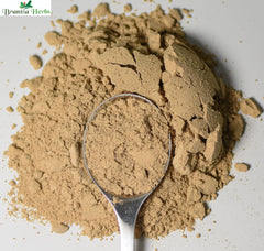 Kava Kava Root Powder - Branzia Herbs