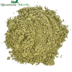 Kelp Extracts POWDER - Branzia Herbs