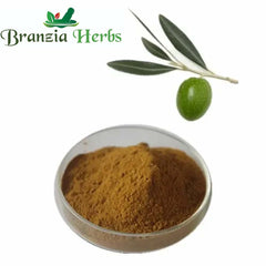 Olea Europea Extract Powder - Branzia Herbs