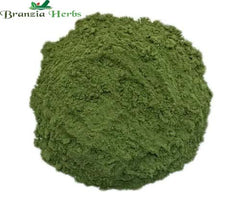 Urtica SP Extract Powder - Branzia Herbs