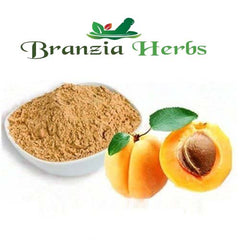 Apricot Powder - Branzia Herbs