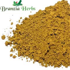 Red Clover Powder - Branzia Herbs