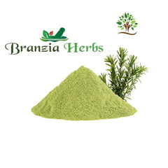 Rosemary Extract Powder - Branzia Herbs