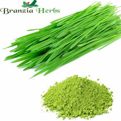 wheat grass powder - Branzia Herbs