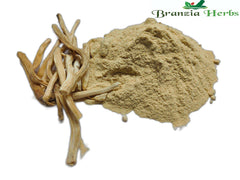 Aspargus racemosus powder - Branzia Herbs