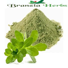 Brahmi / Bacopa Monnieri / Waterhyssop - Powder