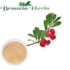Bearberry Extract, - Branzia Herbs