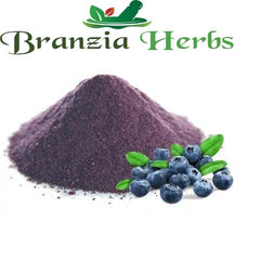 Blue Berry Extract - Branzia Herbs