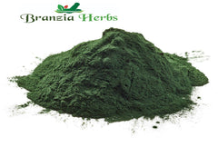 Chlorella Vulgaris Chlorella Powder - Branzia Herbs
