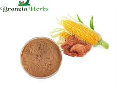 Corn Silk Extract - Branzia Herbs