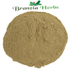 Dandelion Leaf Powder - Branzia Herbs