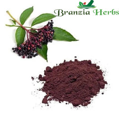 Elderberry Extract Powder - Branzia Herbs