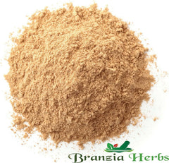GINGER POWDER - Branzia Herbs