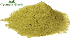 Gingko biloba powder - Branzia Herbs