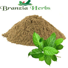 Gymnema Extracts powder - Branzia Herbs