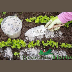 Natural Pure Wood Ash Powder (Raakh) |Wood Ash Fertiliser for Plants,Gardening,wood Ash for Fruit & Vegetable Gardens Improves Root Health(100% Natural Nutrient)