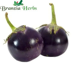 "Brinjal Round Baingan | Vegetable Seeds " - Branzia Herbs