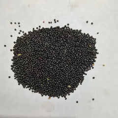 "Chaulai Green Saag Amaranth | Vegetable Seeds " - Branzia Herbs
