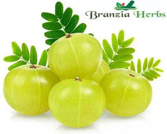 Amla Powder (Emblica Officinalis) - Branzia Herbs