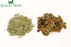 Organic Cassia Angustifolia Pods leaves - Branzia Herbs