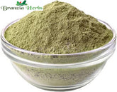 Bhringraj Powder (Eclipta Alba) - Branzia Herbs