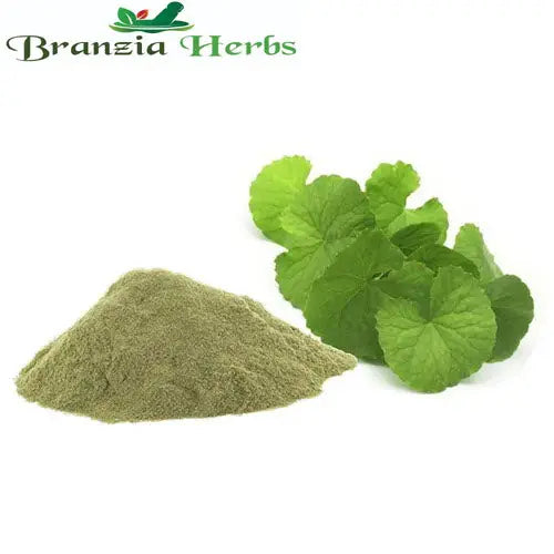 Brahmi Powder (Bacopa Monnieri) - Branzia Herbs