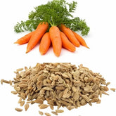 "Carrot Nantes | Vegetable Seeds - Branzia Herbs