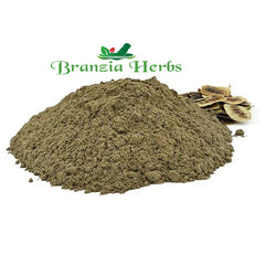 Senna Pods Powder - Branzia Herbs