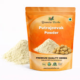 Putrajeevak Powder - Jiya Pota - Putra Jivak- Putranjiva roxburghii - Branzia Herbs