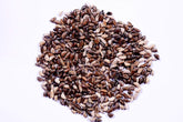 Napier Grass,Elephant Grass Seeds, Pennisetum Purpureum - Fodder plant - Outdoor - Grass - Organic seeds