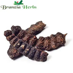 Shikakai Powder (Acacia Concinna) - Branzia Herbs