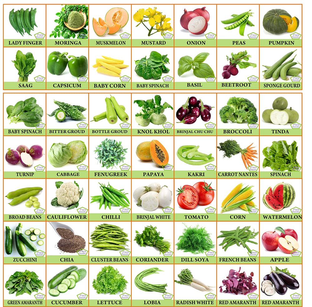 Vegetable & Fruit Seeds Combo - Branzia Herbs