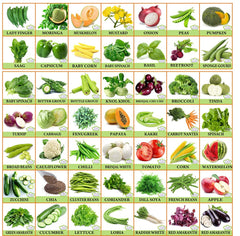 Vegetable & Fruit Seeds Combo - Branzia Herbs