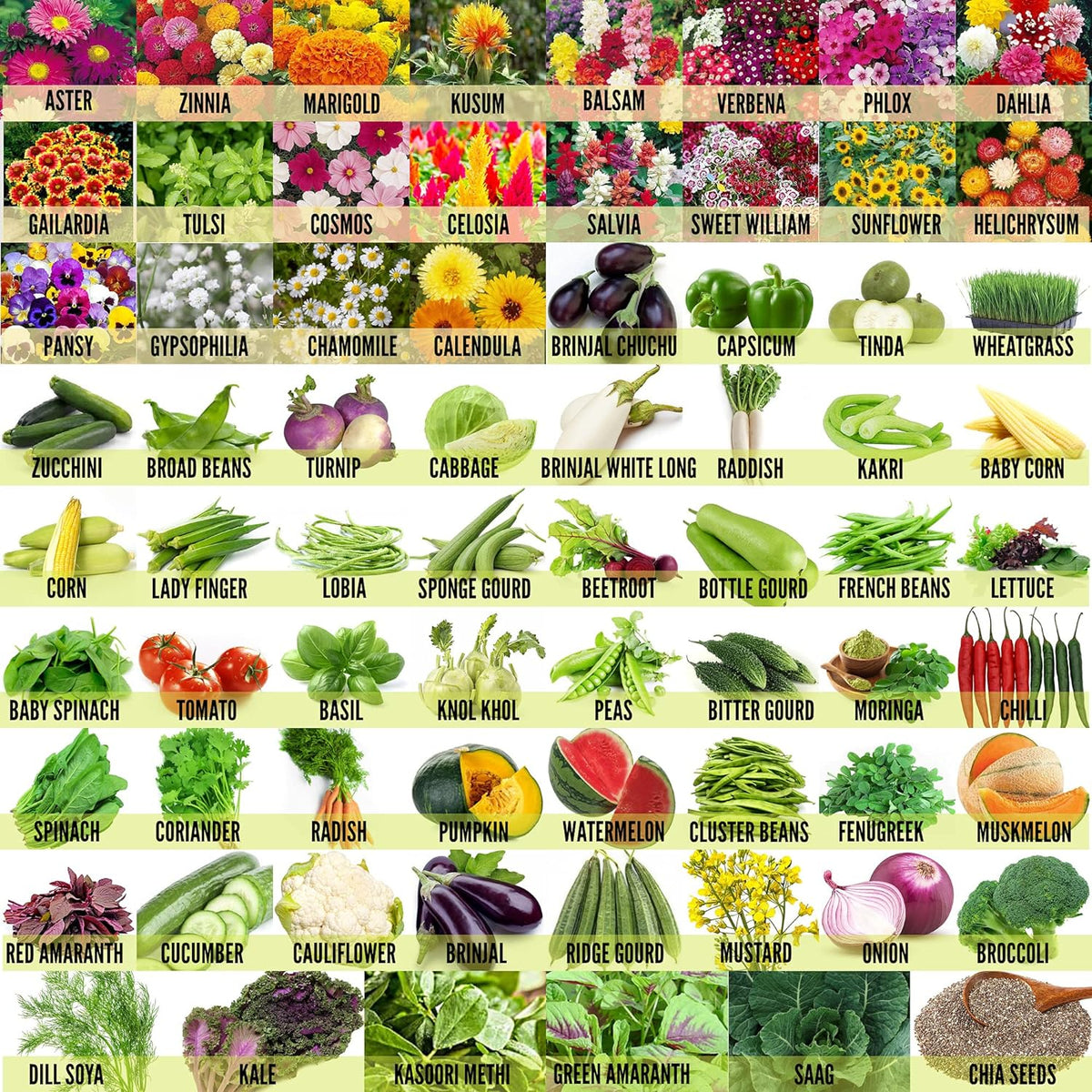 Leafy Tales Set of 70 Varieties of Flowers, Vegetable, Fruits & Herbs Seeds for Kitchen Garden - 3200+ Seeds - Branzia Herbs