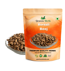 Borsali Beej – Mimusops elengi (Mahizham) Tree Seed Branzia Herbs