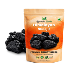 Himalayan Shilajit – 10g | Helps in boosting Stamina |100% Ayurvedic