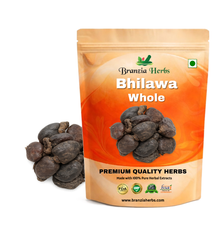 Bhilawa | Marking Nut | Semecarpus anacardiu - Branzia Herbs