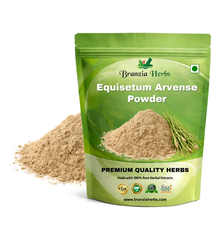 Equisetum Arvense powder - Branzia Herbs
