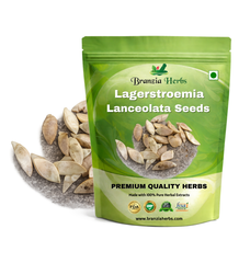 Lagerstroemia Lanceolata (Ben Teak) Tree Seeds Branzia Herbs