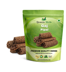 Gaj Pipal - Gajpeepal - Gaj Peepal - Piper Chaba - Scindapsus Officinalis - Branzia Herbs