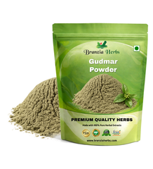 Gudmar Powder – Meshashringi Churna – Gurmar – Gymnema sylvestre - Branzia Herbs
