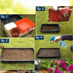 Plant Seeds For Home Garden Flowers Combo of 40 Packet of Seeds Winter, Summer & Spring & All Season Garden Flower Seeds - Branzia Herbs