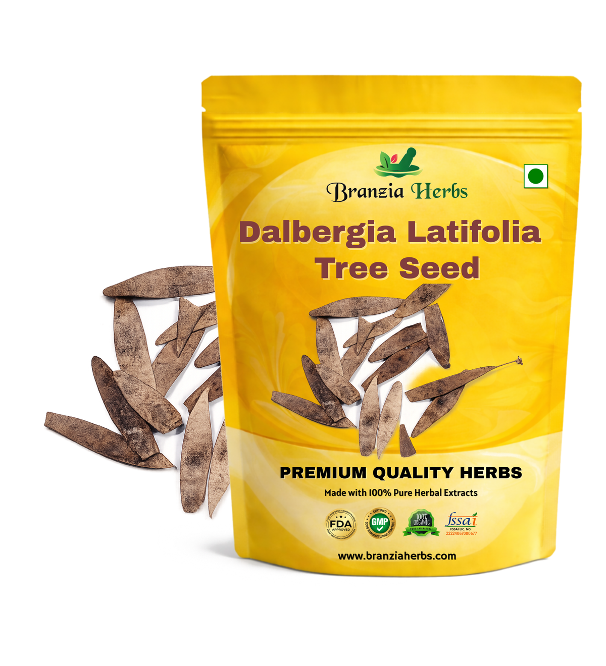 Dalbergia Latifolia (Rose Wood) Tree Seed Branzia Herbs