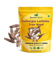 Dalbergia Latifolia (Rose Wood) Tree Seed Branzia Herbs