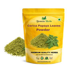 Carica papaya L ( Papaya leaves) Powder - - Branzia Herbs