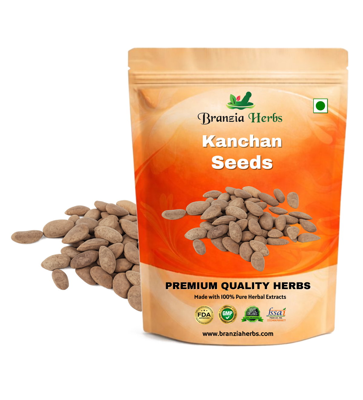 Kanchan Seeds - Beej Kanchan - Champak Seed Michelia Champaca Raw Herbs-Jadi Booti Branzia Herbs